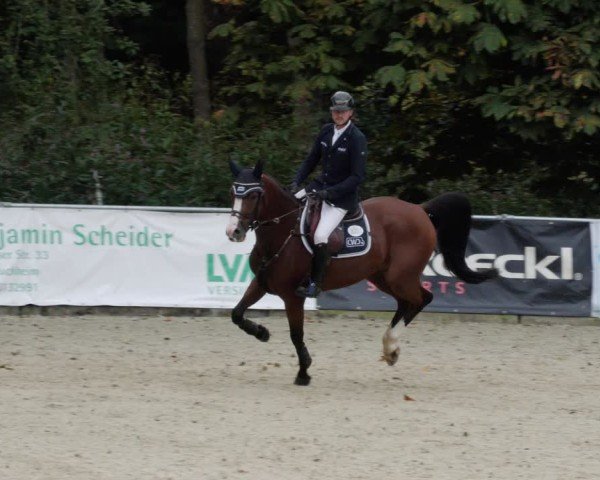 Reitturnier Karlsfeld/Obb. 2024