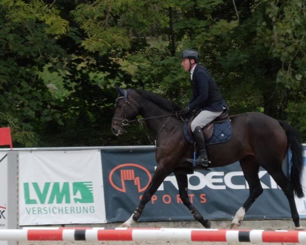 Reitturnier Karlsfeld/Obb. 2024