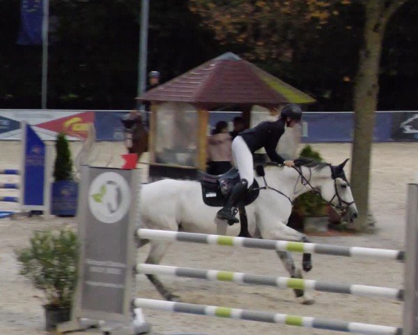 Reitturnier Karlsfeld/Obb. 2024