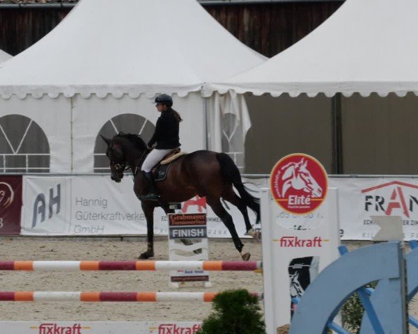 Reitturnier Karlsfeld/Obb. 2024