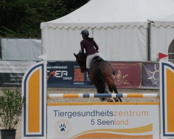 Reitturnier Karlsfeld/Obb. 2024