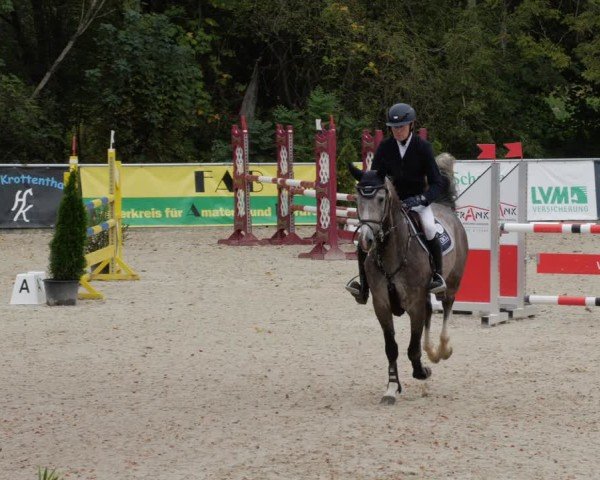 Reitturnier Karlsfeld/Obb. 2024