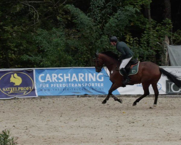 Reitturnier Karlsfeld/Obb. 2024