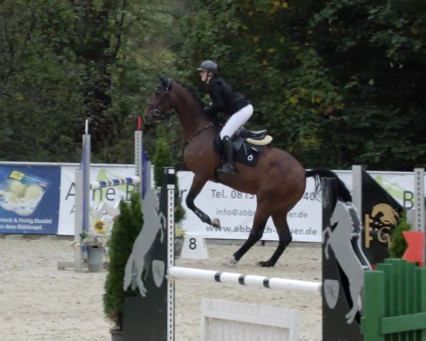 Reitturnier Karlsfeld/Obb. 2024