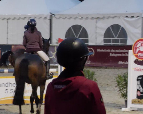 Reitturnier Karlsfeld/Obb. 2024