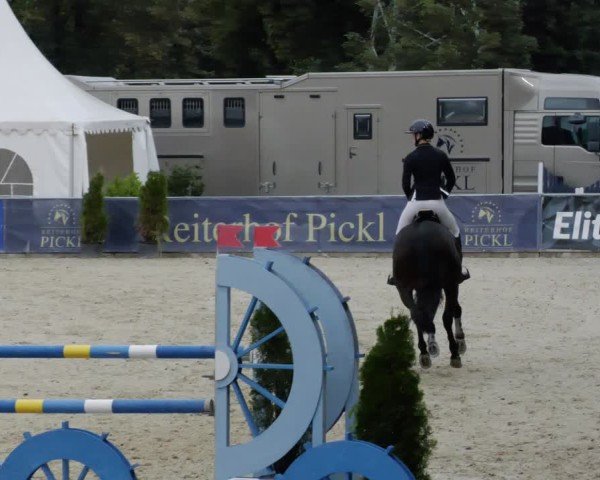 Reitturnier Karlsfeld/Obb. 2024