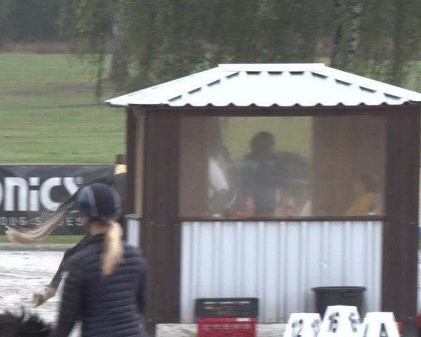 Reitturnier Westergellersen 2024