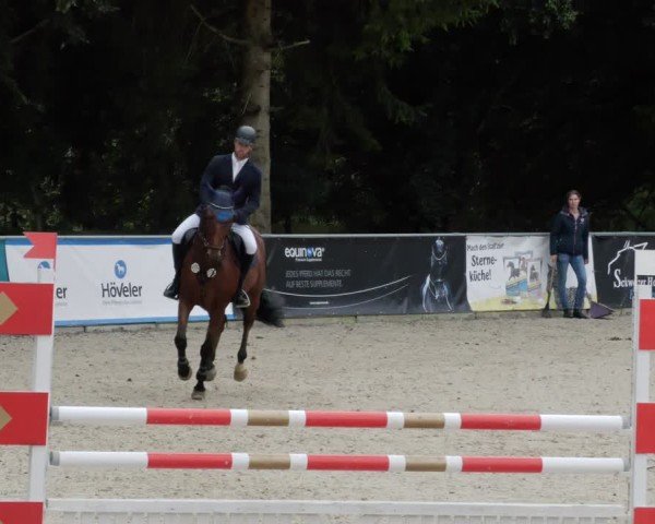 Reitturnier Karlsfeld/Obb. 2024