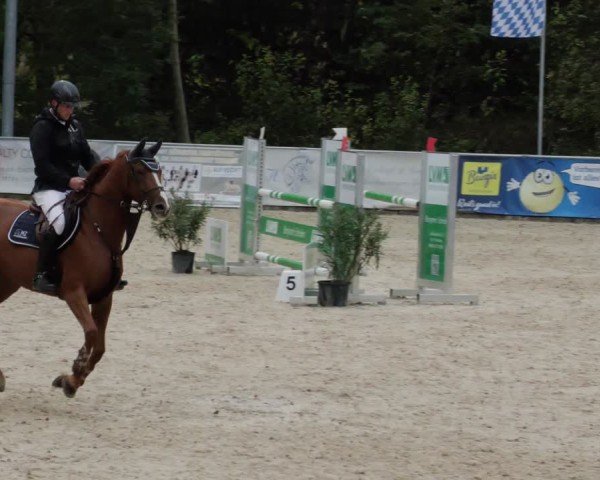 Reitturnier Karlsfeld/Obb. 2024