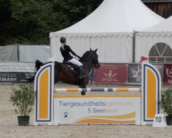 Reitturnier Karlsfeld/Obb. 2024