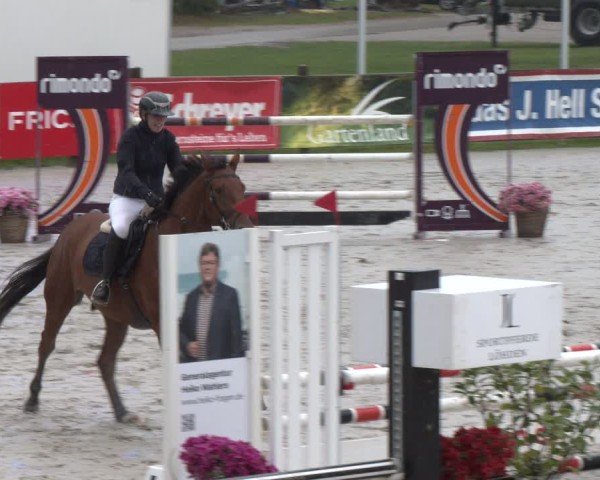 Reitturnier Westergellersen 2024