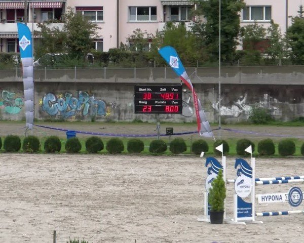 Reitturnier Basel 2024