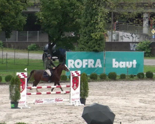 Reitturnier Basel 2024