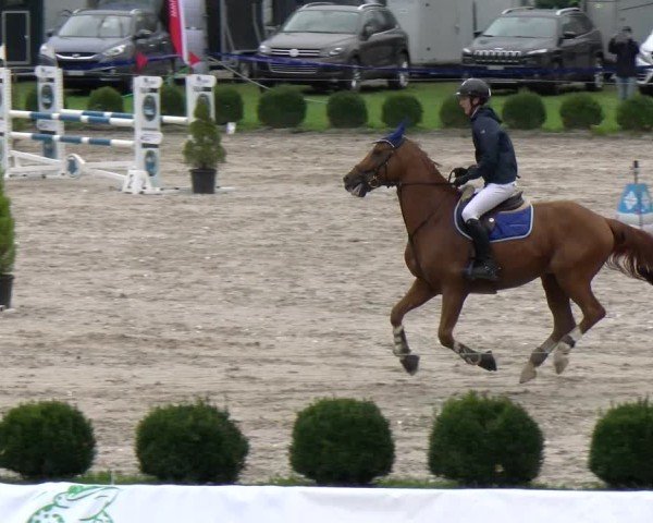 Reitturnier Basel 2024