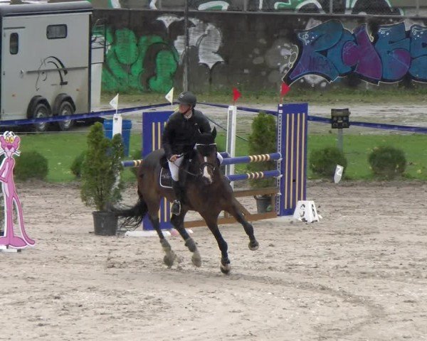 Reitturnier Basel 2024