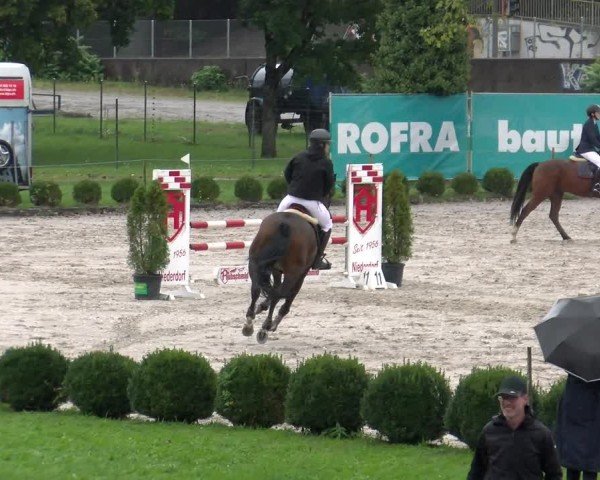 Reitturnier Basel 2024