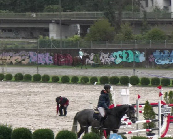Reitturnier Basel 2024