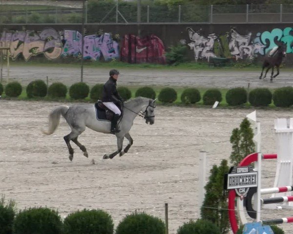 Reitturnier Basel 2024