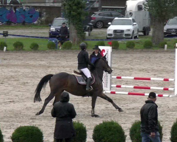 Reitturnier Basel 2024