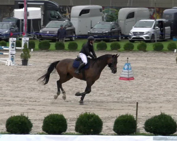 Reitturnier Basel 2024