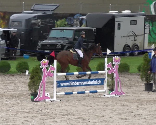 Reitturnier Basel 2024