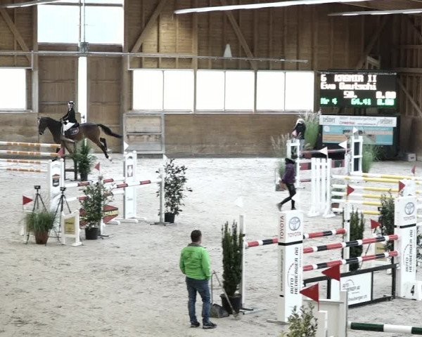 Reitturnier Rüti 2021