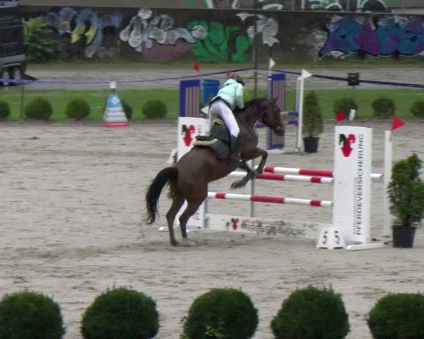 Reitturnier Basel 2024