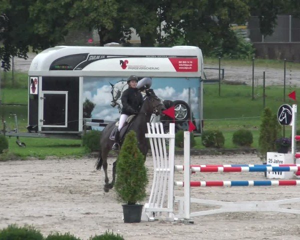 Reitturnier Basel 2024