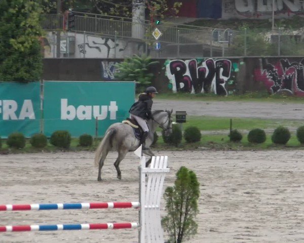 Reitturnier Basel 2024