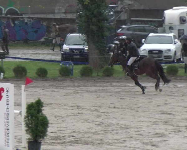 Reitturnier Basel 2024