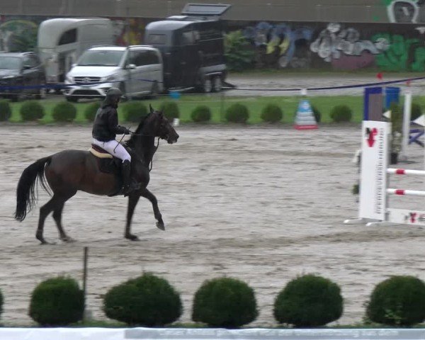 Reitturnier Basel 2024