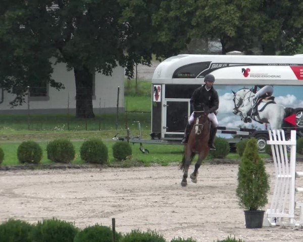 Reitturnier Basel 2024
