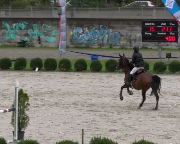 Reitturnier Basel 2024
