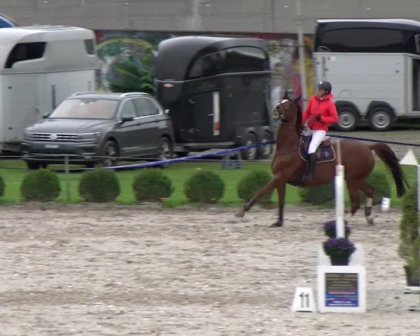 Reitturnier Basel 2024