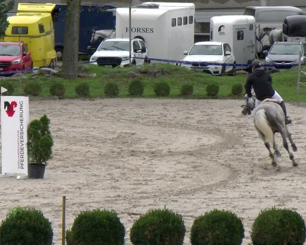 Reitturnier Basel 2024