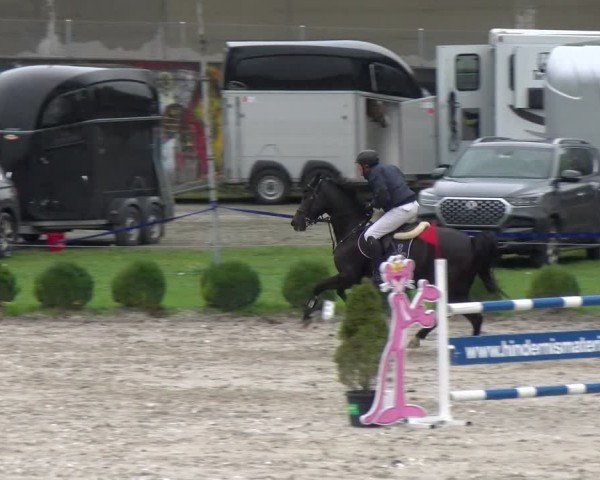 Reitturnier Basel 2024