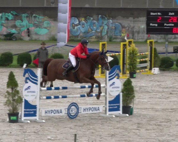 Reitturnier Basel 2024