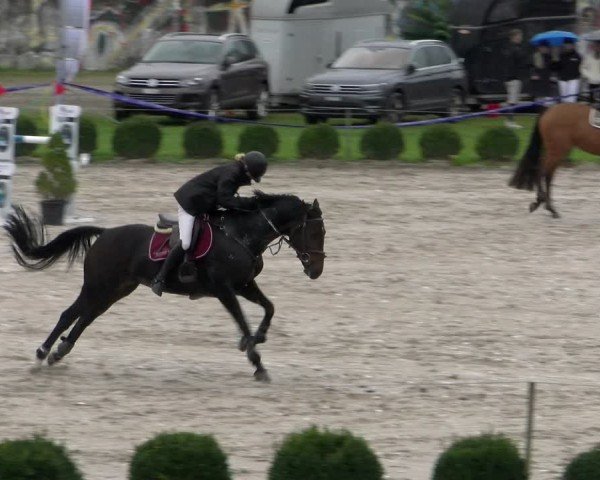 Reitturnier Basel 2024