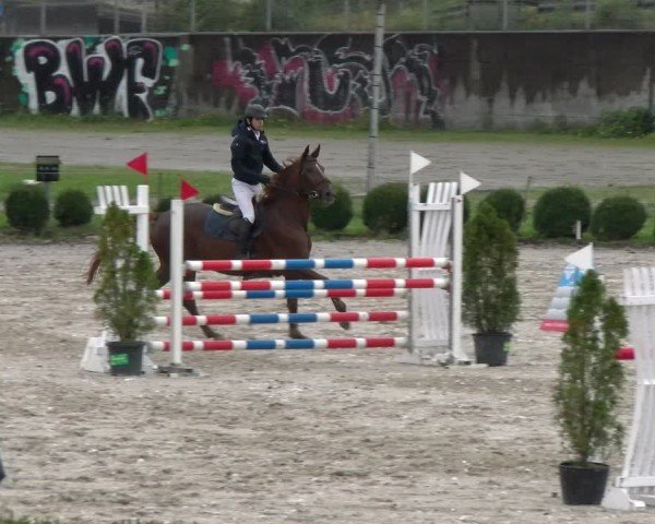 Reitturnier Basel 2024
