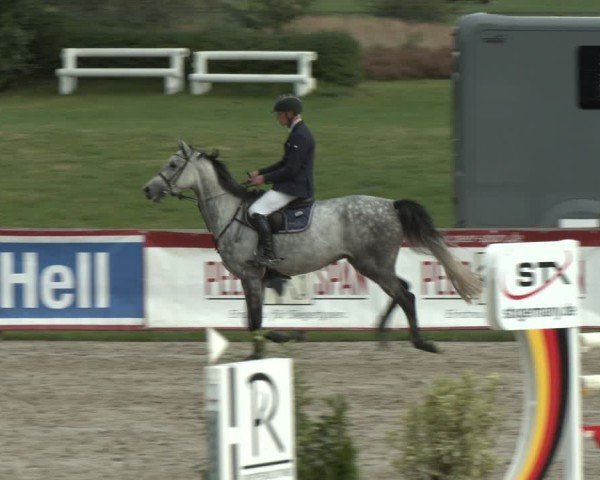 Reitturnier Westergellersen 2024