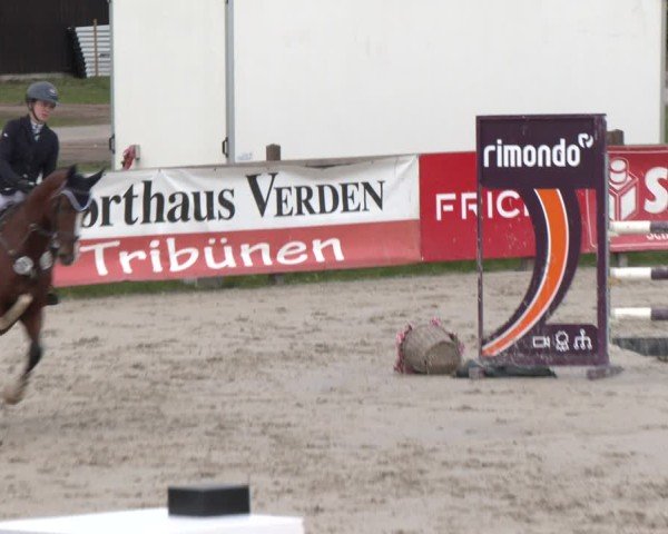 Reitturnier Westergellersen 2024