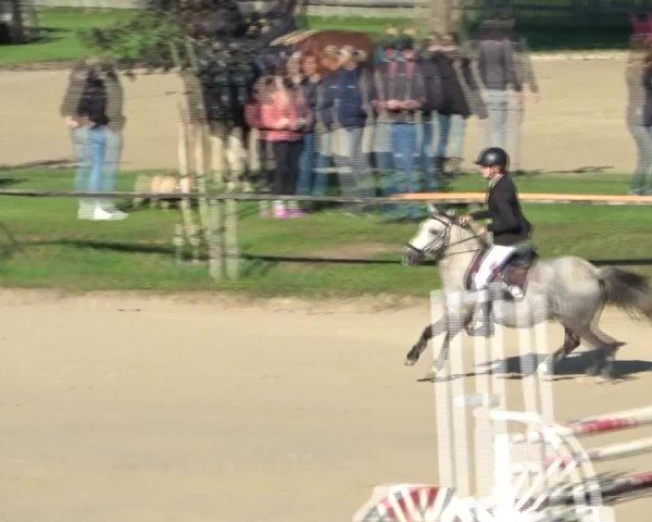 Reitturnier Dienstlhof 2024