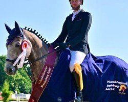 broodmare Else 50 (German Sport Horse, 2019, from DSP EMRADO D)