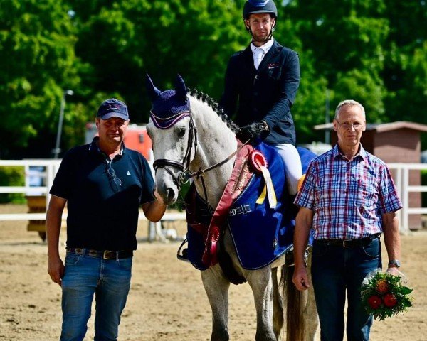 stallion Unit (German Sport Horse, 2020, from UNITED WAY)