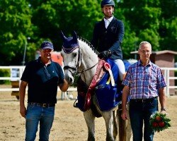 stallion Unit (German Sport Horse, 2020, from UNITED WAY)