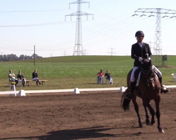Reitturnier Crivitz 2024