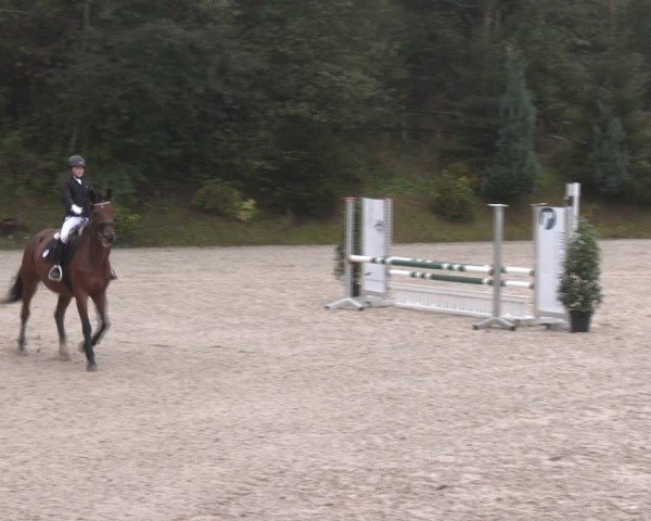 Reitturnier Igls 2024