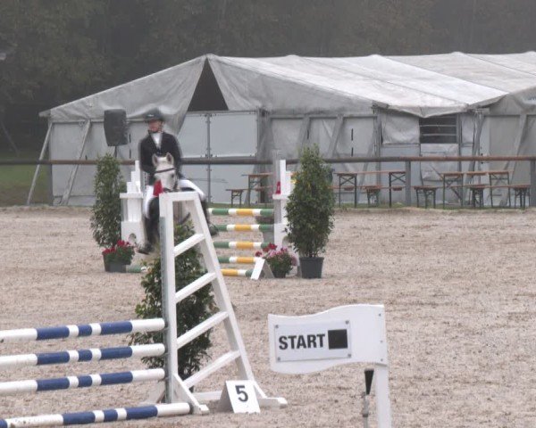 Reitturnier Igls 2024
