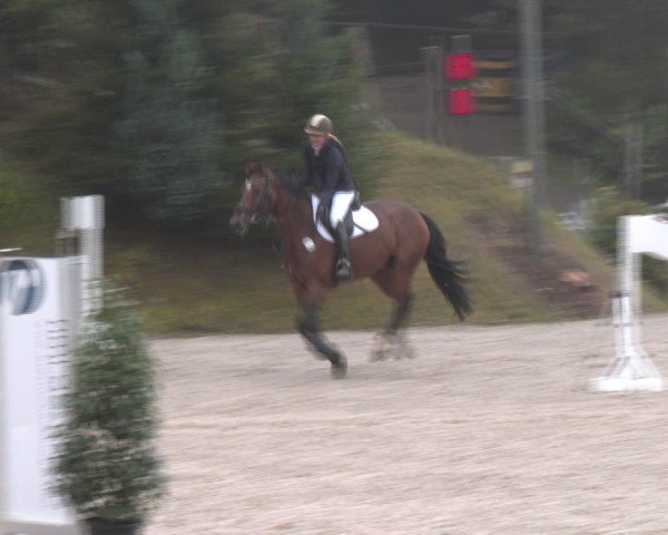 Reitturnier Igls 2024