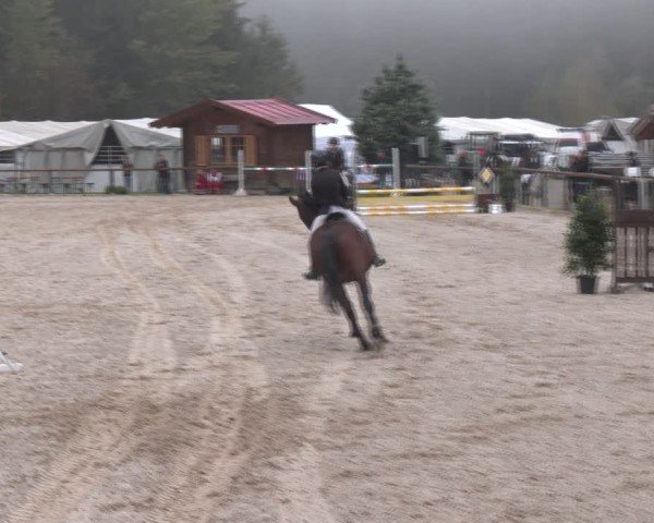 Reitturnier Igls 2024